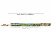 Determinantes de la reforestación comercial en los ...bibliotecadigital.udea.edu.co/dspace/bitstream...introducción y las conclusiones: en la primera, se aborda el marco teórico