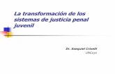 Modelos de justicia penal juvenilfiles.catedra-procesal-penal.webnode.es/200000037... · 2014-03-06 · Los modelos como formas de abordaje diferenciado Fuertemente condicionados