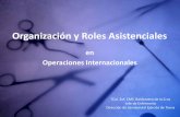 Organización y Roles Asistenciales - AEEQaeeq.net/congresos/7AEEQ/descargas/ponencias/m8_bdelacruz.pdf · TCol. Enf. CMS Baldomero de la Cruz. Jefe de Enfermería. Dirección de