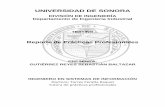 UNIVERSIDAD DE SONORAcp.isi.uson.mx/practicas_docs/215212002-reporte.pdf4 1. INTRODUCCIÓN En la Universidad de Sonora, su reglamento contempla que en cada plan de estudio se incluye