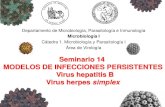 Seminario 14 MODELOS DE INFECCIONES PERSISTENTES Virus ... 14 CB... · Virus herpes simplex . OBJETIVOS 1. Conocer las relaciones entre estructura y función de algunos virus que