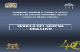 MÓDULO DEL SISTEMA DIGESTIVO - UNAM CMC 2015...temprano y tratamiento oportuno) y terciario (rehabilitación) con los medios del programa a que pertenece y/o con la coordinación