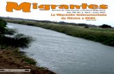 Contenido Migrantes...Contenido Año XIII No.2 Abril - Junio 2007 6 8 4 16 24 26 27 3 Revista Migrantes Editorial Acontecer Migratorio Testimonio migrante Actualidad Pastoral Espiritualidad
