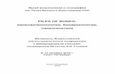 PILES OF BONES - Kunstkamera · Евгения Сергеевна (НПО "Археологическое проектирование и изыскания", НИ ТГУ), Алексеева