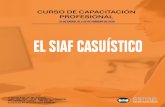 CARTA DE VENTA SIAF CASUISTICO · Ÿ Doctor en Administración por la Universidad Inca Garcilaso de la Veg. Ÿ Master en Marketing y Comercio Internacional por la Universidad Inca