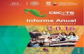 Informe Anual de Actividades 2015 - cecytemichoacan.edu.mxcecytemichoacan.edu.mx/wp-content/uploads/2017/09/... · 3.12 Jornada de Ciencias “Acercando la Ciencia a tu Municipio”.