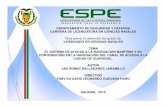 DEPARTAMENTO DE SEGURIDAD Y DEFENSA CARRERA DE ...repositorio.Espe.edu.ec/bitstream/21000/14474/3/T-ESSUNA-004130-D.pdfdepartamento de seguridad y defensa carrera de licenciatura en