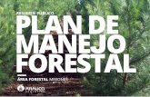PlAn e Resumen PÚblico mAneJo FoResTAl...residuos forestales de cosecha para la generación de energía a partir de bio-masa de origen forestal, contribuyendo a la producción de