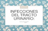 Infecciones del tracto urinario - Cibic Laboratorios · IU EN EMBARAZADAS: Muy frecuente durante el embarazo Incidencia 8% La IU no tratada en el embarazo se asocia a mortalidad fetal,