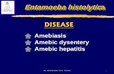 Amebiasis Amebic dysentery Amebic hepatitis · Dr. Abdulkader M.D. Tonkal 3 Entamoeba histolytica EPIDEMIOLOGY A world-wide distribution. A higher prevalence in tropical and subtropical