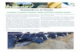 Julio 2019 Rumiando en la Pampa - Consorcio Lechero€¦ · La cetosis clínica, sólo se presenta en un 2% del reba-ño, pero nos dice que el 100% padece cetosis subclíni-ca. 5
