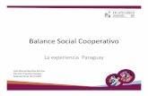 Balance Social Cooperativo · cantidad de indicadores paraguay no. indicadores p1 adhesiÓn libre y voluntaria 14 10 4 p2 control democrÁtico 12 5 7 p3 participaciÓn econÓmica