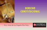 INSTITUCIONES DEL DERECHO CONSTITUCIONALenlacejuridicoacademico.com/.../dra-rios/DERECHO_CONSTITUCION… · EL DERECHO CONSTITUCIONAL COMO PARTE DEL DERECHO PÚBLICO Es tradicional
