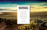PALACIO DE BORNOS D.O. RUEDA D.O. NAVARRA D.O. RIBERA …€¦ · viñedos en los mejores suelos, con objeto de obtener los mejores vinos. INNOVACIÓN PALACIO DE BORNOS DESARROLLA