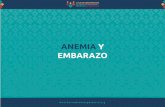 ANEMIA Y EMBARAZO - herramientasparteria.orgherramientasparteria.org/documentos/anemia/anemia_embarazo.pdf · ANEMIA Y EMBARAZO La anemia es un desorden que ocurre cuando hay deficiencia