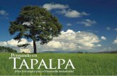Pensando en Tapalpa 2009 - DPI Territorialdpiterritorial.com/downloads/Tapalpa.pdf · La cabecera municipal y los fraccionamientos turísticos no presentan problemas de escasez de