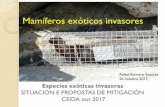Mamíferos exóticos invasores - CEIDA · CEIDA out 2017 -SEMINARIO FORMATIVO - Especies exóticas invasoras - SITUACIÓN E PROPOSTAS DE MITIGACIÓN Mamíferos exóticos invasores