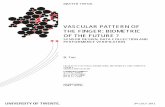 Vascular pattern of the finger: Biometric of the futureessay.utwente.nl/61963/1/final_report_online_Ton.pdf · Figure 2.2: Object coordinate system of nger vascular biometrics (modi