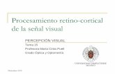 Procesamiento retino-cortical de la señal visual 15. Procesamiento retinocortic… · Procesamiento retino-cortical de la señal visual Diciembre 2019 PERCEPCIÓN VISUAL . Tema 15.