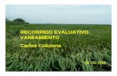 RECORRIDO EVALUATIVO VANEAMIENTO Carlos Columna · • Hemos observado que el arroz cosechado tiene menor peso y calidad industrial, lo que acompañado de las mermas en los rendimientos