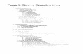Tema 3. Sistema Operativo Linuxlasalleferrol.es/web_REVISAR/Introduccion_a_Linux.pdf · A pesar de que en Linux todo son ficheros, incluso los dispositivos y los directorios, se comporta