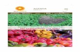 1 - portada - Ecocentro€¦ · bio vegetariano con alma FEBRERO 2019 AGENDA l Nº 377 Madrid Baleares Cáceres León. Inspiradora infusión de lujo con valiosos aceites esenciales