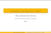 - El hiperespacio de los subcontinuos T-cerradoslya.fciencias.unam.mx/paty/2016/etc/pdf/2016/marcoantonioruizsan… · El hiperespacio de los subcontinuos T-cerrados Marco Antonio