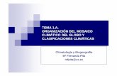 TEMA 1.A. ORGANIZACIÓN DEL MOSAICO CLIMÁTICO DEL …titulaciongeografia-sevilla.es/contenidos/profesores/materiales/... · TEMA 1.A. ORGANIZACIÓN DEL MOSAICO CLIMÁTICO DEL GLOBO