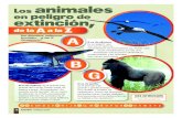 Los animales - Scholastic UKimages.scholastic.co.uk/assets/a/12/54/89-ahora4p12-13-mgm-6176… · la selva tropical de Costa Rica. En la actualidad*, los cientíﬁ cos debaten si
