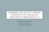 hormonas del calcio y fosfato: vitamina d, pth y factor de ...€¦ · •Trastornos de la Vit-D, la PTH y el FGF 23 abarcan presentaciones muy raras pero bastante comunes en la población