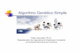 Algoritmo Genético Simplefgonza/courses/2004-I/CompEvol/introGA.pdf · Algoritmo Genético Simple Fabio González, Ph.D. Departamento de Ingeniería de Sistemas e Industrial Universidad