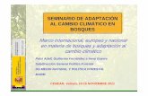 SEMINARIO DE ADAPTACIÓN AL CAMBIO CLIMÁTICO EN BOSQUES€¦ · – Cumbre de Río (1992): Declaración de Río, 15 Principios forestales, capítulo 11 de la Agenda 21 (lucha contra