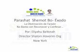 Parashat Shemot Bo- Éxodo - Shalom Haverim€¦ · contra Egipto y conectada con esta Sidra. •Jeremías fue el contemporáneo mas viejo de Ezequiel; durante los últimos días