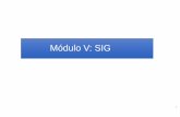 Módulo V: SIGfiles.especializacion-tig.webnode.com/200000012-e0840e17a5/ETIG... · territoriales y por ello merecen ser estudiados en un SIG • Reconocer la distribución de las