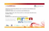 UNIDAD DE GEOQUÍMICA DE FLUIDOS GEOTÉRMICOS UNAM-IGF … · UNAM-IGF-CU LABORATORIO DE FLUIDOS GEOTÉRMICOS Centro Mexicano de Innovación en Energía Geotérmica (CeMIE-Geo) Proyecto