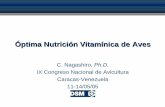 Óptima Nutrición Vitamínica de Aves€¦ · del sistema nervioso Coenzimas de cobalamina (Metilcobalamina y desoxiadenosilcobalamina) Cobalamina (B 12) Coenzimas del folato-Síntesis