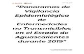 “Panoramas de Vigilancia de Epidemiologia/PANORAMA… · PAT-V.E., 2019 Evidencia Documental PAT V.E., 2019 Elaboró formato: Dra. Ethel Palacios Zavala, Apoyo al Líder Federal