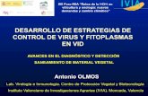 DESARROLLO DE ESTRATEGIAS DE CONTROL DE VIRUS Y ...€¦ · Lab. Virología e Inmunología. Centro de Protección Vegetal y Biotecnología Instituto Valenciano de Investigaciones