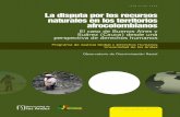 La disputa por los recursos naturales en los territorios ... · la disputa por los recursos naturales en los territorios afrocolombianos 10 el caso de buenos aires y suárez (cauca)
