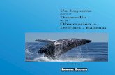 DolphinWhaleManualSPN 01 07mundoazul.org/descargas/esquema_observacion_ballenas... · 2012-03-21 · La observación sostenible de ballenas con altos estándares de calidad y el turismo