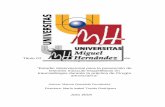 Título Oficial de Máster Universitario en Prevención de ...dspace.umh.es/bitstream/11000/5865/1/QUESADA FERNANDEZ, MARINA TFM.pdfaplicación de las Ciencias Biológicas Humanas