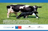 PERÍODO DE TRANSICIÓN: IMPORTANCIA EN LA …...lactancia. Durante este período la vaca lechera se ve enfrentada a los mayores cambios fisiológicos por su preparación a la síntesis