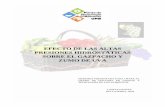 Efectos de las altas presiones hidrostáticas sobre el · 2005-11-28 · c.e.r. planta de tecnologia dels aliments departament de ciÈncia animal i dels aliments efecto de las altas