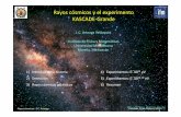 Rayos cósmicos y el experimento KASCADE-Grandearteaga/Platicas/Cinvestav_2010.pdf · Reporta señales en coincidencia en contadores Geiger-Müllercon separación de hasta 75m P.