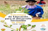 Estrategia de Educación para el Desarrollo Sostenible de IDEAS · social como ambiental y la Educación para el Desarrollo (en adelante EpD) como una dimensión estratégica de la