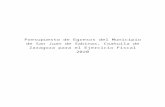 €¦ · Web viewPresupuesto de Egresos del Municipio de San Juan de Sabinas, Coahuila de Zaragoza para el Ejercicio Fiscal 2020 MARCO LEGAL En la ciudad de Nueva Rosita, cabecera