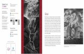 Cultura Caja de Burgos Génesis Salgado D.pdfPapuasia y la isla de Siberut, en Sumatra, y los ecosistemas de Madagascar. África: del delta del Okavango en Botswana y el parque de