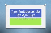 Los Indígenas de las Antillas - Novus Legerenovuslegere.weebly.com/.../los_indigenas_de_las_antillas.pdf · 2018-09-11 · Antillas Mayores y en regiones de Venezuela y las Guyanas.