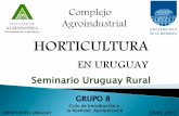 Facultad de Agronomía - HORTICULTURA EN URUGUAYira/ur/materiales/grales/2013/2013... · 2018-02-14 · ↠ Falsa hernia de la col (Ceutorhynchus pleurostigma) ↠ Piral del maíz