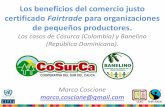 Los beneficios del comercio justo certificado Fairtrade ...conferencias.cepal.org/comercio_sostenibilidad2018... · Los beneficios del comercio justo certificado Fairtrade para organizaciones